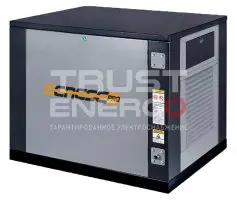 Газовый генератор Genese Pro 7500 Neva кожухе с АВР