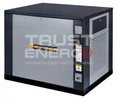 Газовый генератор Genese Standard 5000 Neva кожухе с АВР
