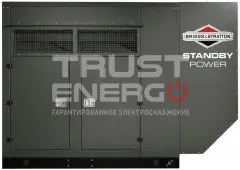 Газовый генератор Briggs & Stratton G1000 с АВР