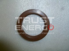 Сальник (55x75x12) вала коленчатого задний DR55x75x12/Rear oil seal ТРАСТ-ЭНЕРГО